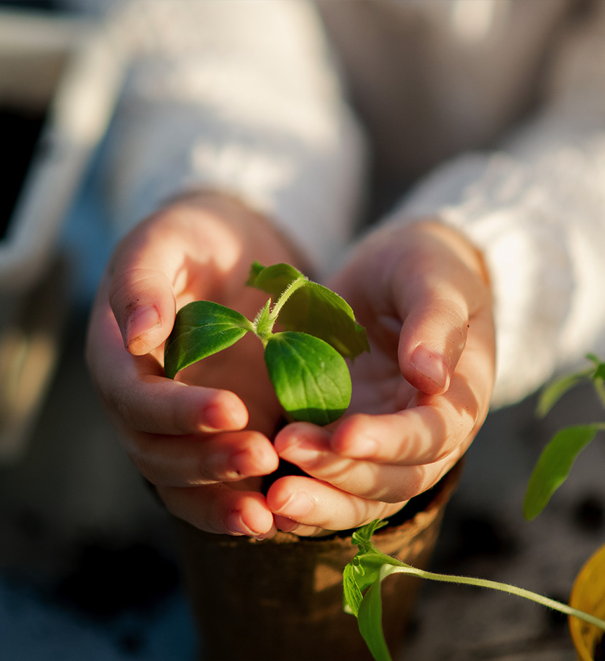 Toplumsal Sorumluluk