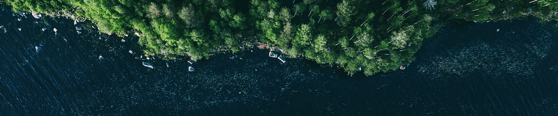Kalite, Çevre & Sürdürebilirlik